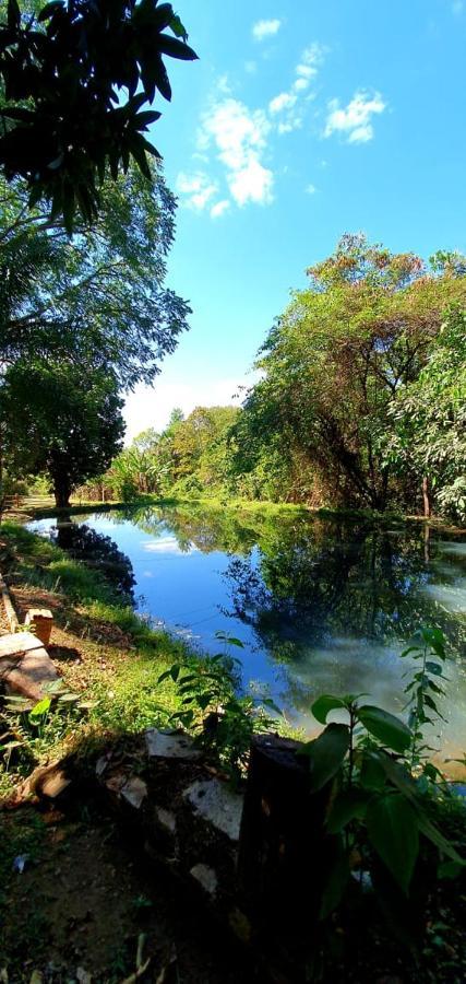 Вілла Chacara Bica Dagua Піренополіс Екстер'єр фото